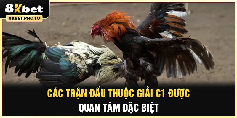 Các trận đấu thuộc giải C1 được quan tâm đặc biệt