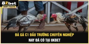 đá gà c1 8kbet