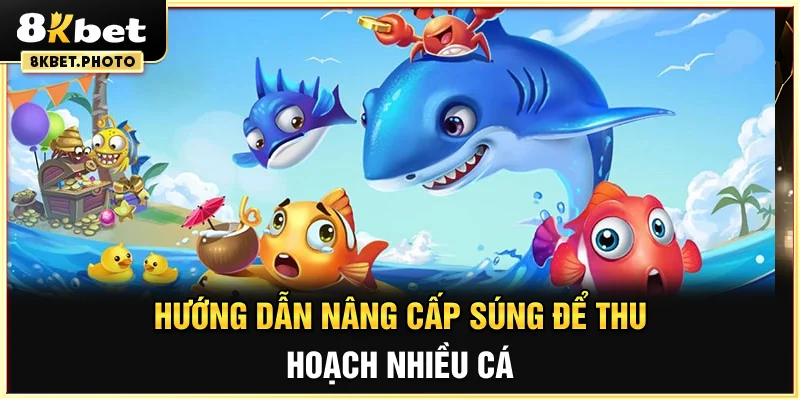 Hướng dẫn nâng cấp súng để thu hoạch nhiều cá