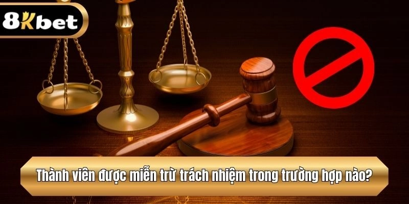 Thành viên được miễn trừ trách nhiệm trong trường hợp nào?