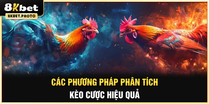 Các phương pháp phân tích kèo cược hiệu quả