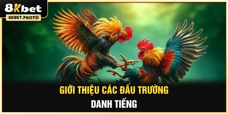 Giới thiệu các đấu trường danh tiếng