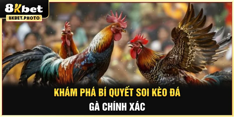 Khám phá bí quyết soi kèo đá gà chính xác